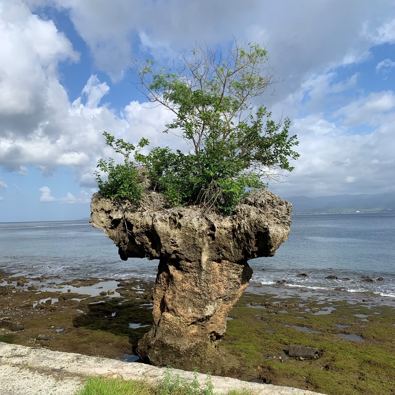 Batu Capeu